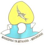 NAFASI Za Kazi Mtwara Municipal Council