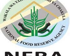 NAFASI 39 Za Kazi Wakala wa Taifa wa Hifadhi ya Chakula (NFRA)
