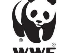 NAFASI Za Kazi WWF Tanzania