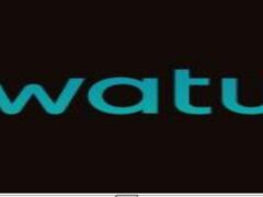 NAFASI Za Kazi Watu Credit Tanzania