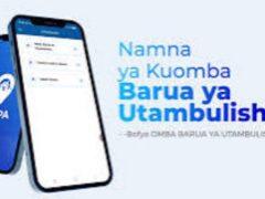 MUONGOZO wa Kupata Barua ya Utambulisho Kupitia NAPA Kwaajili ya Kuomba Mkopo (HESLB) 2025/2026