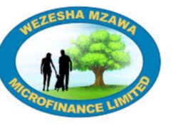 NAFASI Za Kazi Wezesha Mzawa Microfinance Limited
