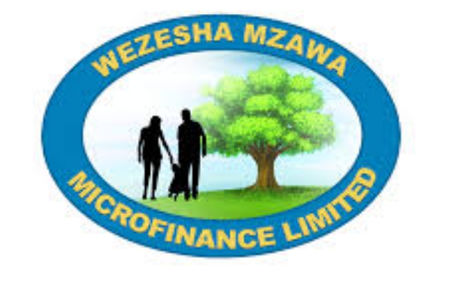 NAFASI Za Kazi Wezesha Mzawa Microfinance Limited