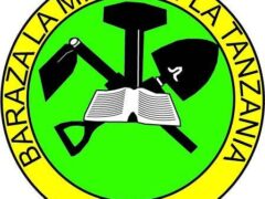 Waliochaguliwa Kujiunga na Kidato Cha Tano 2025 Awamu ya Pili