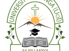 NAFASI Za Kazi University of Iringa