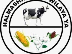 NAFASI Za Kazi Bariadi District Council