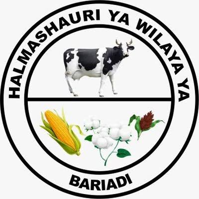 NAFASI Za Kazi Bariadi District Council