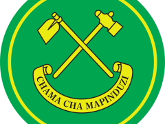 MAJINA ya Wagombea Ubunge CCM 2025