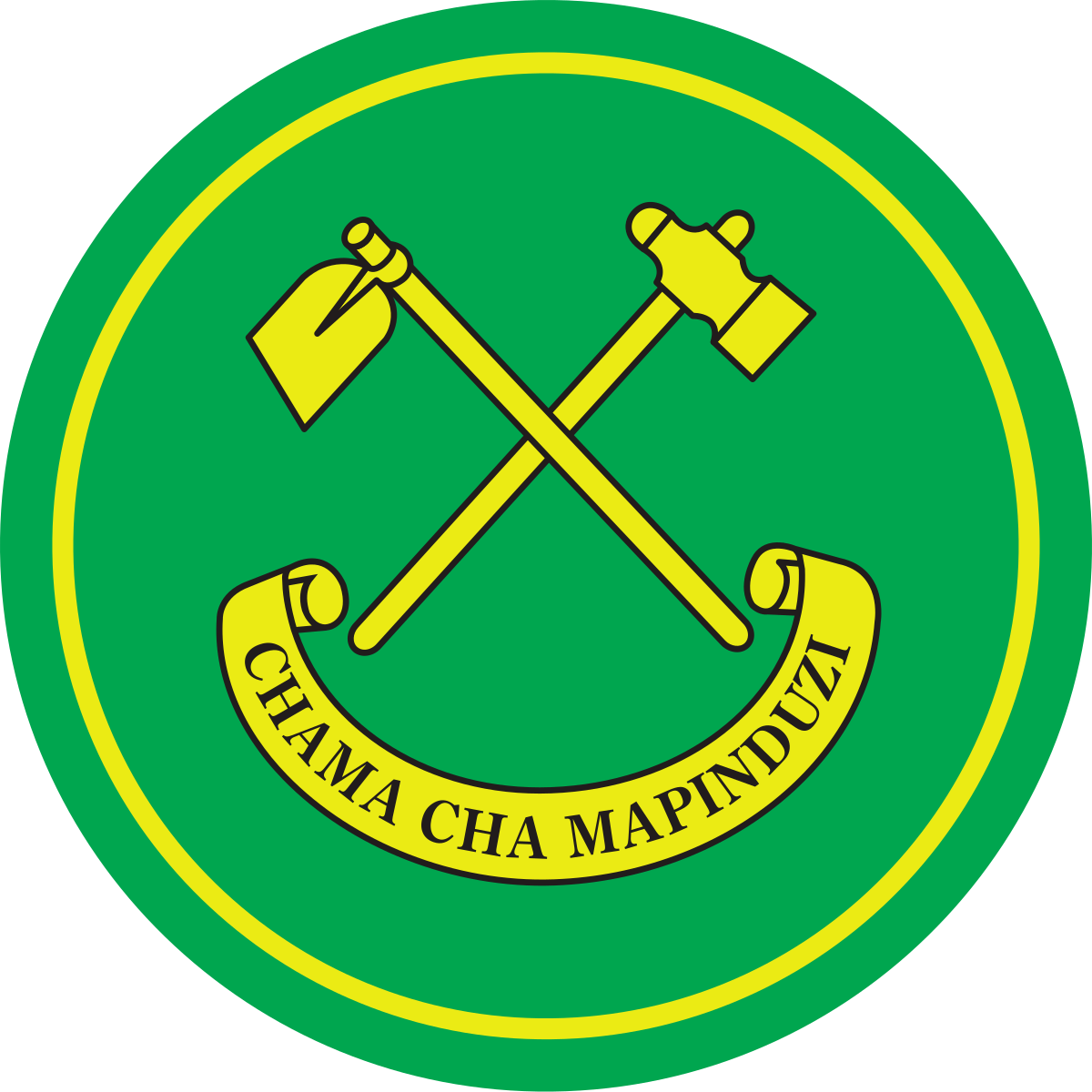 MAJINA ya Wagombea Ubunge CCM 2025