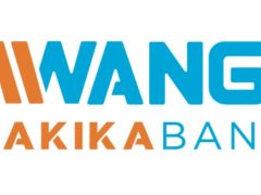 NAFASI Za Kazi Mwanga Hakika Bank