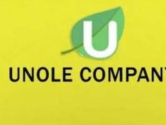 NAFASI Za Kazi Unole Company Limited