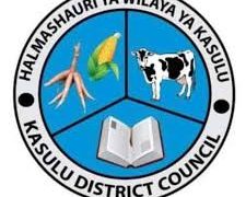 NAFASI Za Kazi Kasulu District Council