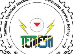 NAFASI Za Kazi Wakala wa Ufundi na Umeme Tanzania (TEMESA)