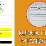 JINSI ya Kupata TIN Number Online