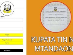 JINSI ya Kupata TIN Number Online