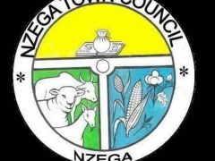 MAJINA ya Walioitwa Kwenye Usaili Nzega Town Council