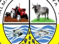 NAFASI Za Kazi Musoma District Council