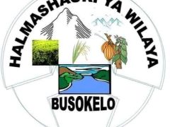 NAFASI Za Kazi Busokelo District Council