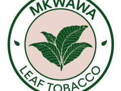 NAFASI 33 Za Kazi Mkwawa Leaf Tobacco Limited