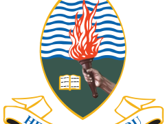 UDSM Selected Applicants 2025/2026