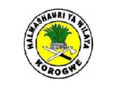 KUITWA Kwenye Usaili Kusimamia Uchaguzi Mkuu 2025 Korogwe District Council