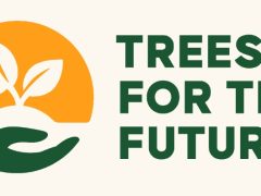 NAFASI Za Kazi Trees for the Future (TREES)