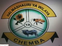 KUITWA Kazini Kusimamia Uchaguzi Mkuu 2025 Chemba District Council
