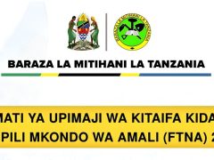 FOMATI ya Upimaji wa Kitaifa Kidato cha Pili Mkondo wa Amali 2025