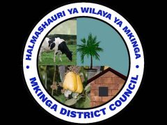 KUITWA Kwenye Usaili Kusimamia Uchaguzi Mkuu 2025 Mkinga District Council