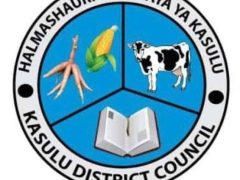 KUITWA Kwenye Usaili Kusimamia Uchaguzi Mkuu 2025 Kasulu District Council