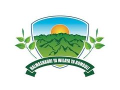 KUITWA Kwenye Usaili Kusimamia Uchaguzi Mkuu 2025 Bumbuli District Council