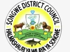 KUITWA Kwenye Usaili Kusimamia Uchaguzi Mkuu 2025 Songwe District Council