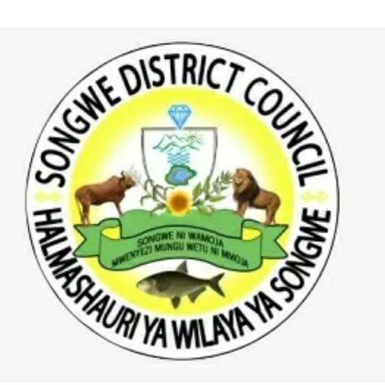 KUITWA Kwenye Usaili Kusimamia Uchaguzi Mkuu 2025 Songwe District Council