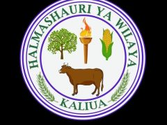 KUITWA Kwenye Usaili Kusimamia Uchaguzi Mkuu 2025 Kaliua District Council