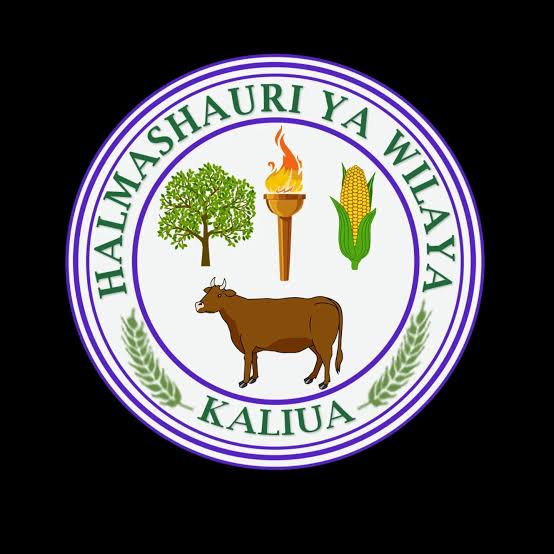 KUITWA Kwenye Usaili Kusimamia Uchaguzi Mkuu 2025 Kaliua District Council
