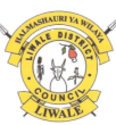KUITWA Kwenye Usaili Kusimamia Uchaguzi Mkuu 2025 Liwale District Council