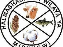 KUITWA Kwenye Usaili Kusimamia Uchaguzi Mkuu 2025 Misungwi District Council