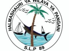 KUITWA Kazini Kusimamia Uchaguzi Mkuu 2025 Pangani District Council