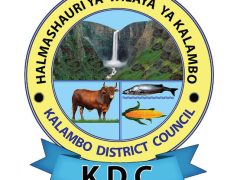 KUITWA Kazini Kusimamia Uchaguzi Mkuu 2025 Kalambo District Council