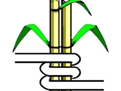 NAFASI Za Kazi Kagera Sugar Limited