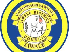 KUITWA Kazini Kusimamia Uchaguzi Mkuu 2025 Liwale District Council