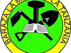 MATOKEO ya Darasa la Saba 2025 Mkoa wa Rukwa