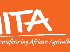 NAFASI Za Kazi IITA Tanzania