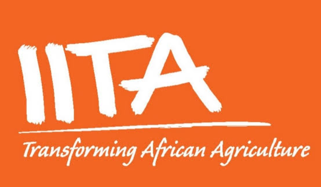 NAFASI Za Kazi IITA Tanzania