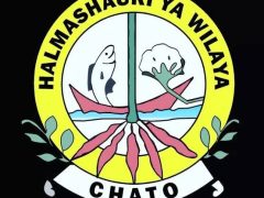 NAFASI Za Kazi Kutoka Chato District Council