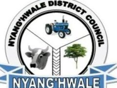 NAFASI Za Kazi Nyang’hwale District Council