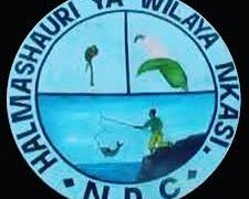 NAFASI Za Kazi Nkasi District Council