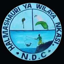 NAFASI Za Kazi Nkasi District Council