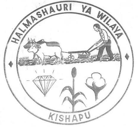 NAFASI Za Kazi Kishapu District Council