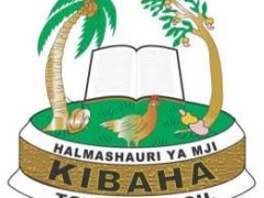 NAFASI Za Kazi Kibaha Municipal Council